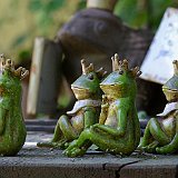 grenouilles assise